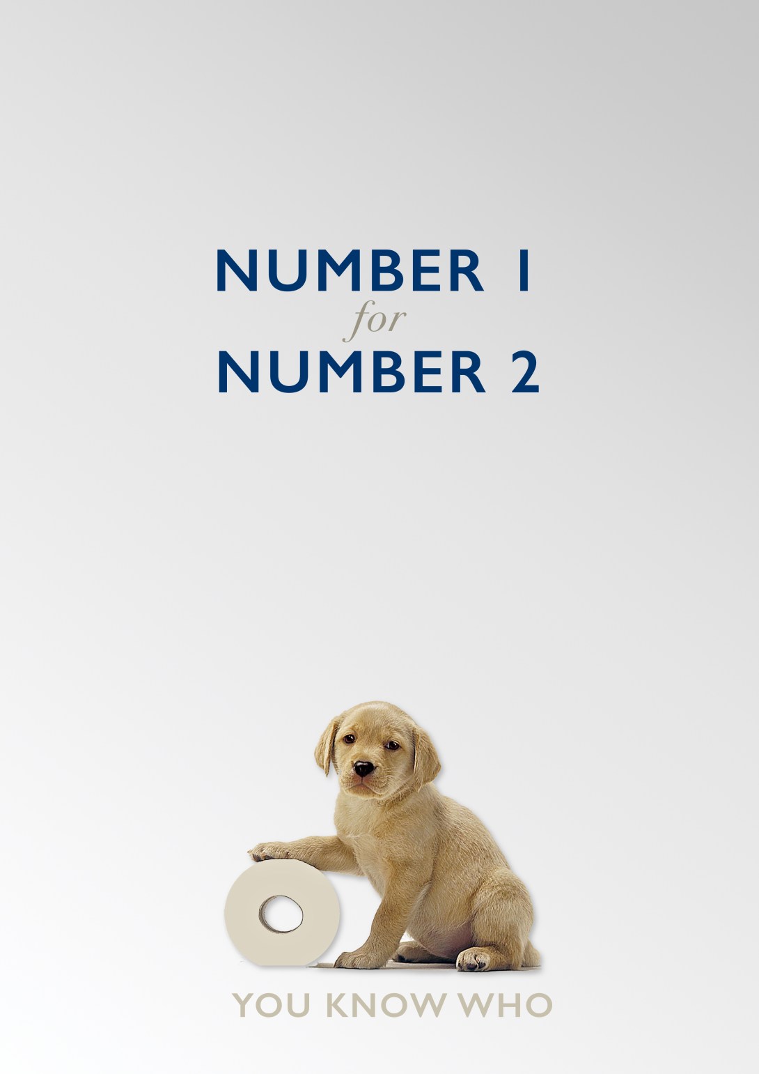 Advertising concept for Andrex toilet rolls