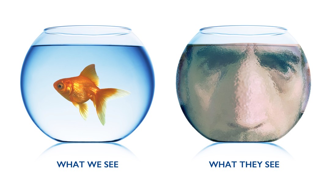 Looking at the world from a goldfish perspective