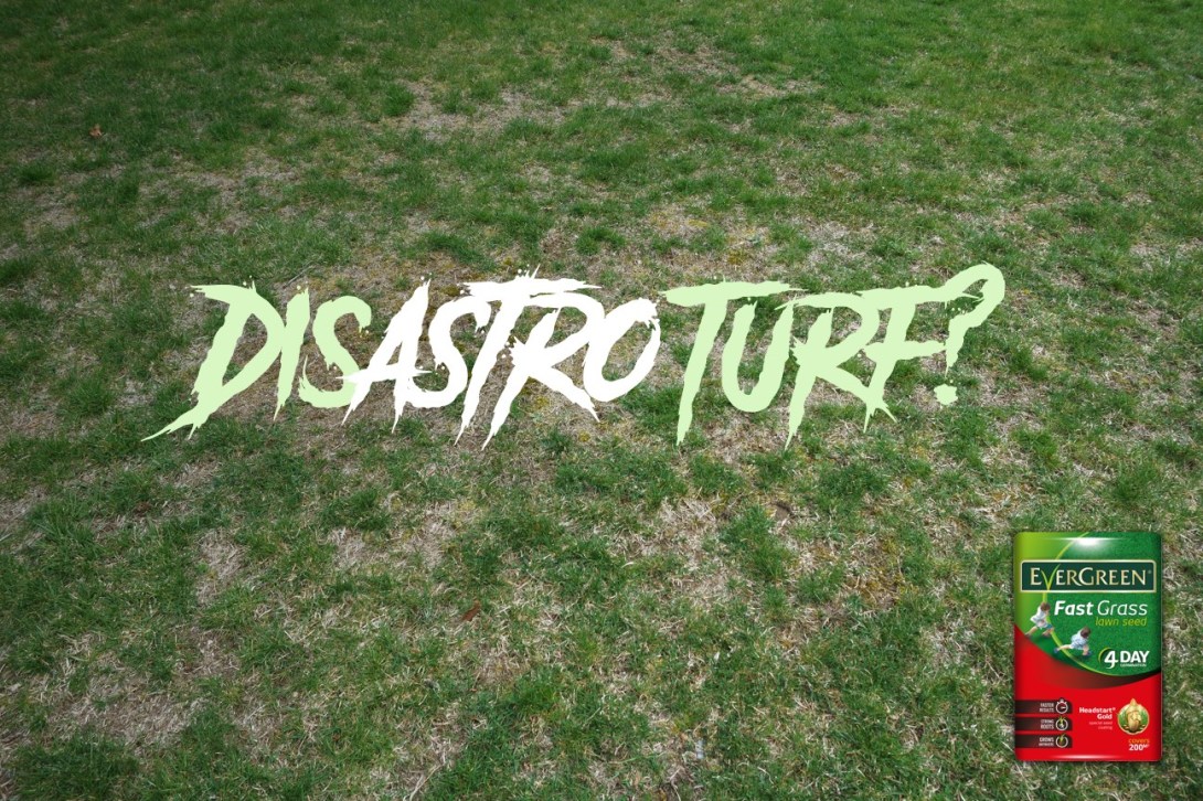 advertising idea for a lawn seed brand