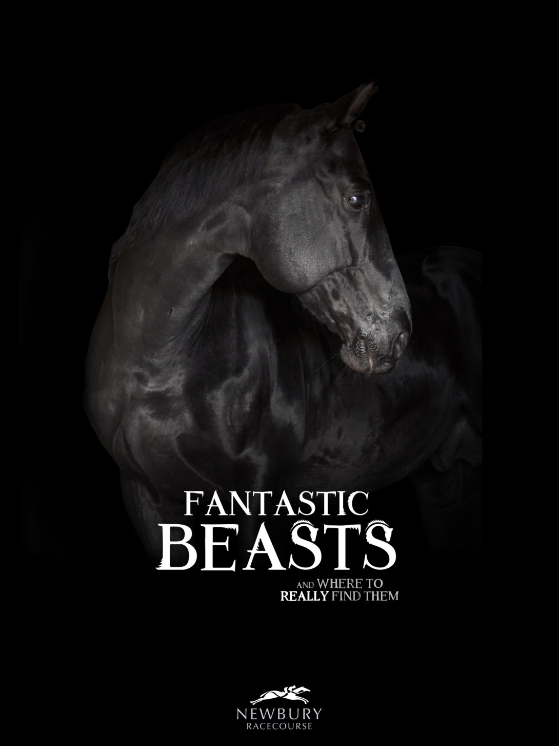 Guerrilla advertising concept for a racecourse