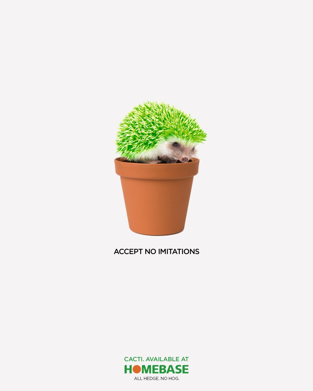 an advertising concept for a cacti retailer