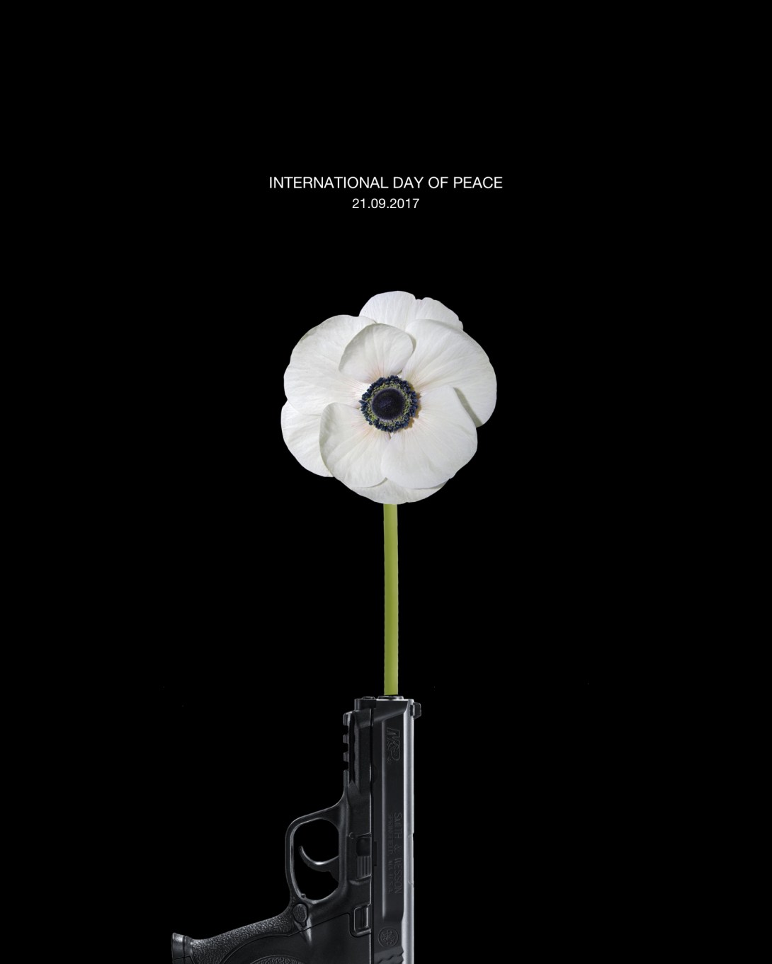 a poster idea for international day of peace - a gun used as a vase for a poppy