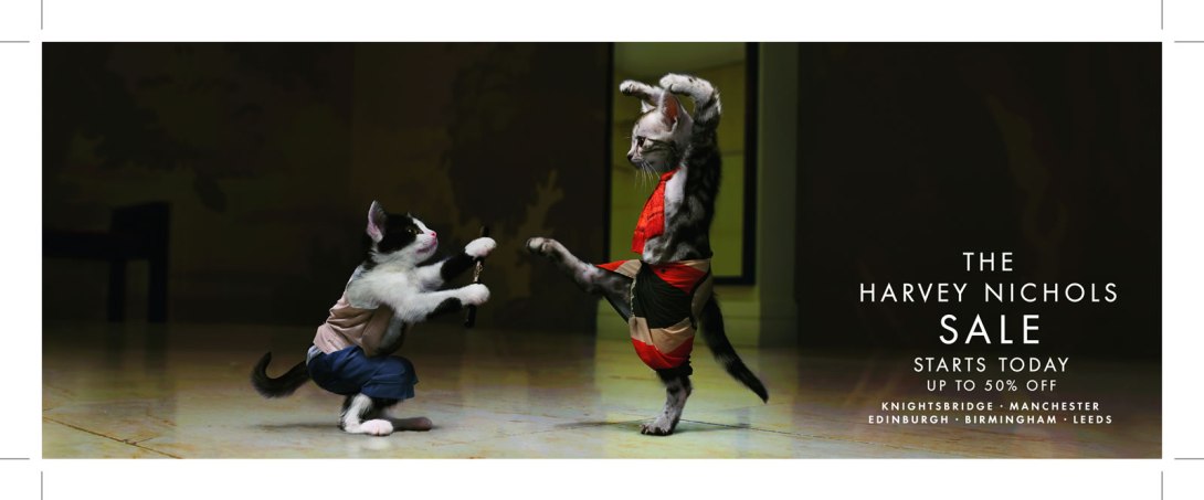 08_04748_003_100x268_Karate_Cat_Fight_P1_hi_res