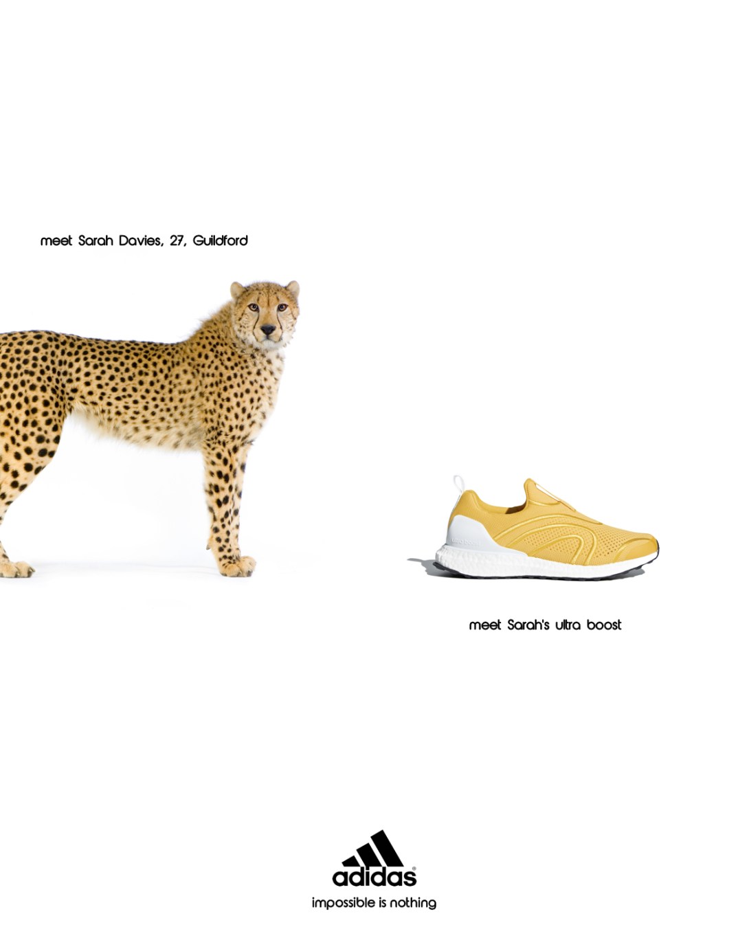 advertising concept for a running shoe brand - sarah davies, cheetah