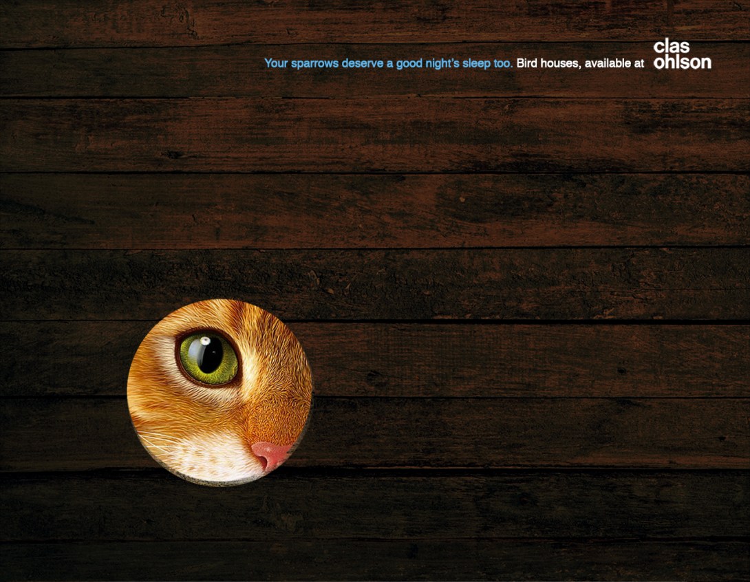 advertising concept for bird houses