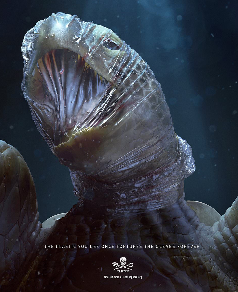 11225258-0-image-a-26_1553083366319