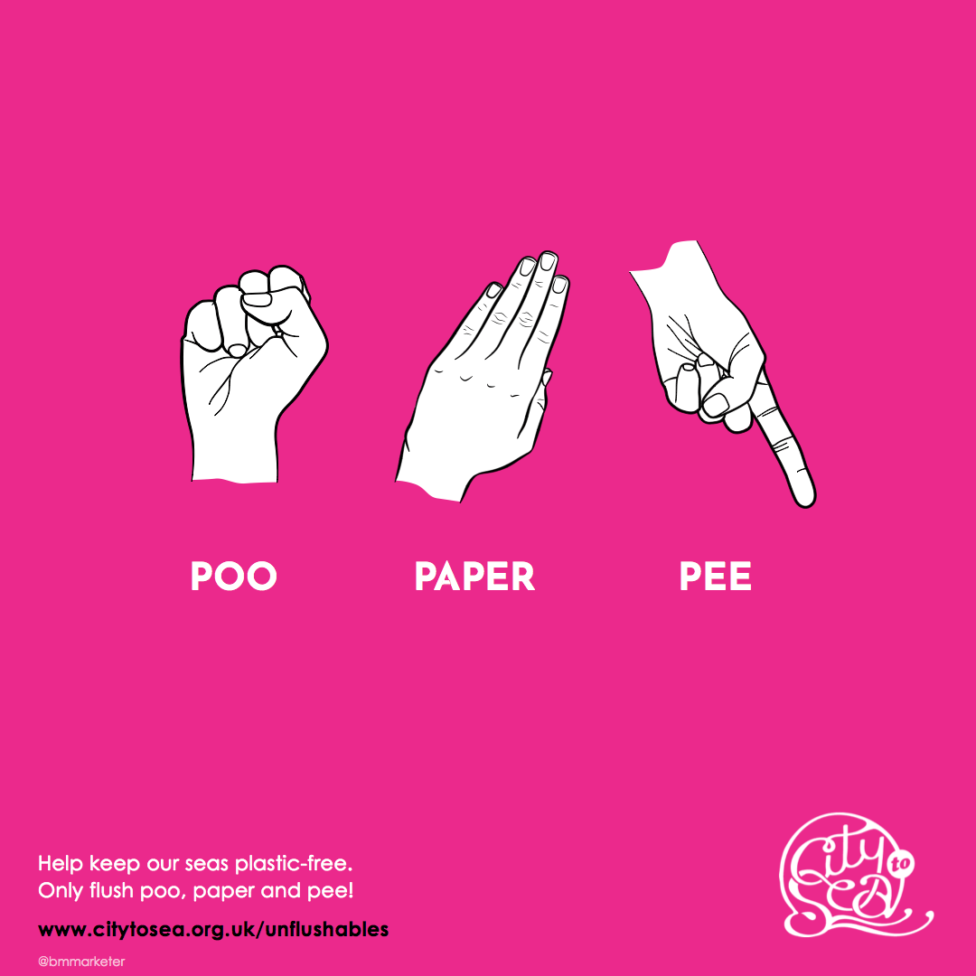 The unflushables - only flush poo paper pee - advert  for City to Sea